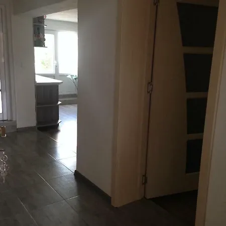 Vilor Case de vacanță