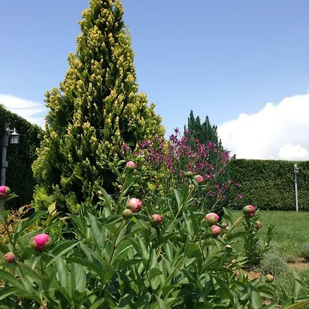 Case de vacanță Vilor Rupite