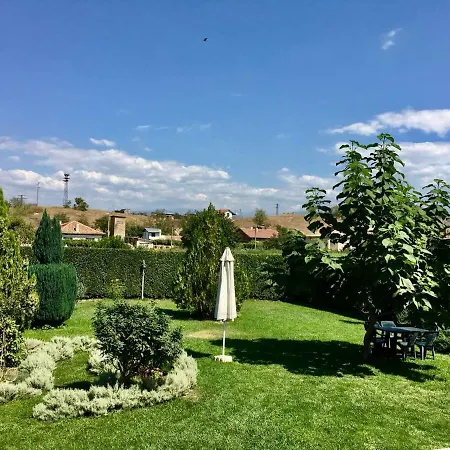 Case de vacanță Vilor